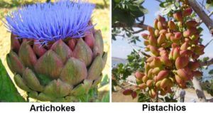 Artichokes And Pistachios Text
