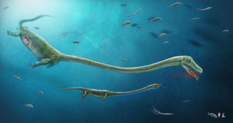Pregnant Sea Serpent