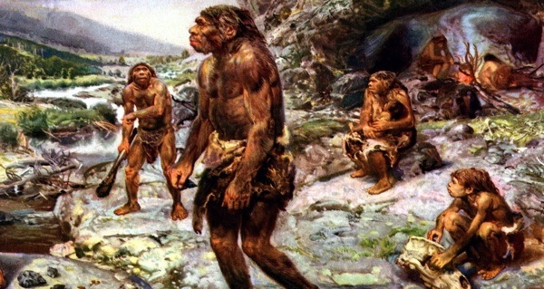 Several Neanderthals