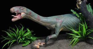 Croc Dino Og