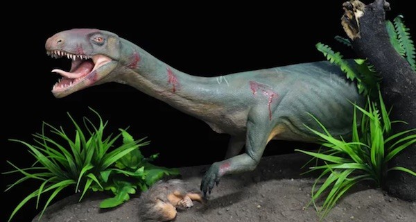 Croc Dino Og