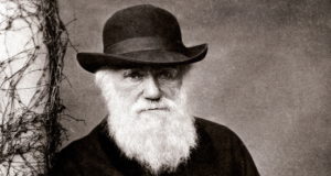 Hat And Beard