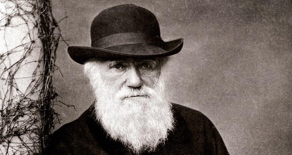 Hat And Beard