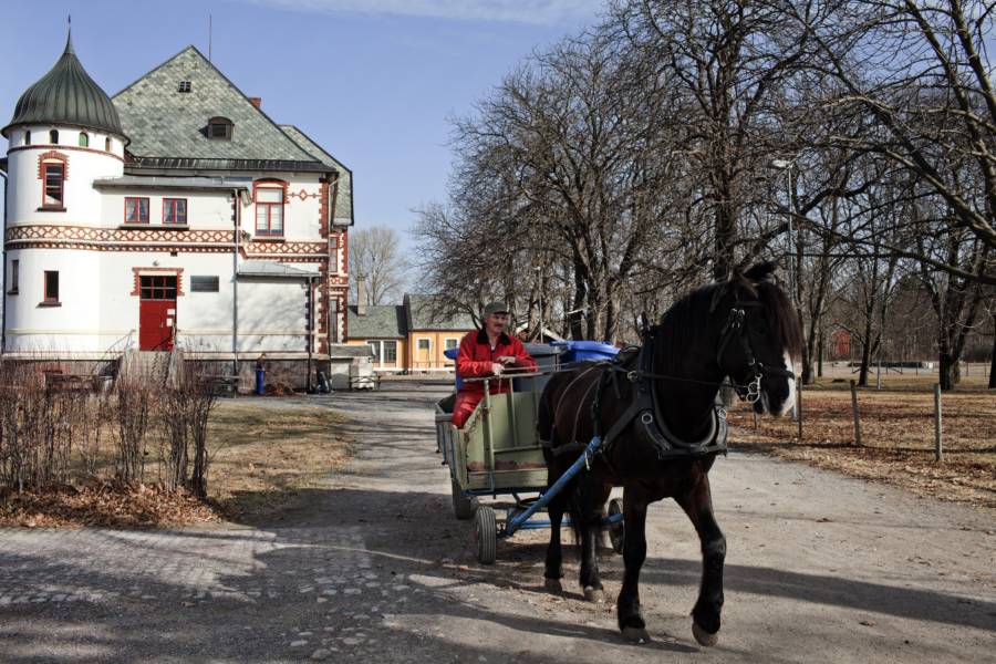 Horse Carriage