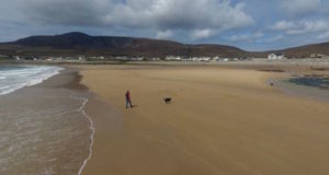 Irish Beach Og