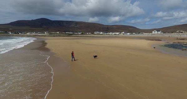 Irish Beach Og