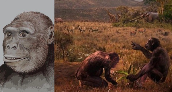 Pre Humans Africa Og