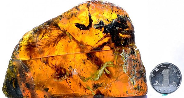 Amber