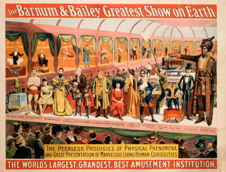 Vintage Poster For Barnum & Bailey Circus