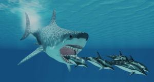 Shark Jaws