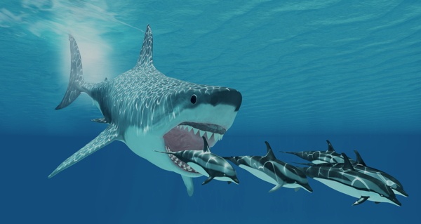 Shark Jaws
