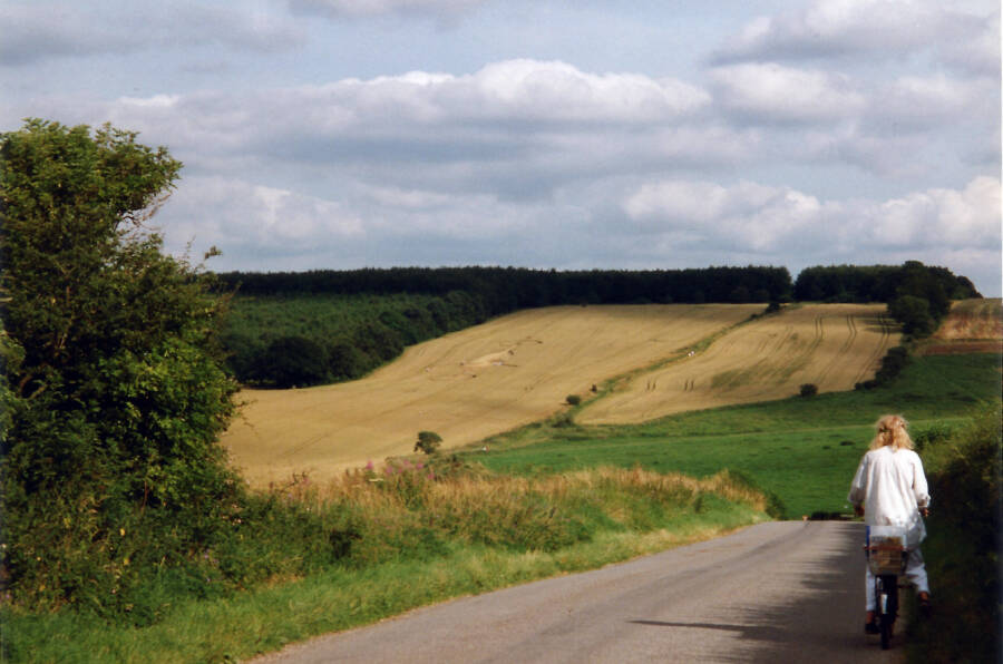 Alton Barnes Crop Circle