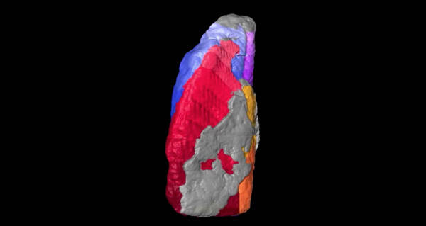 Ediacaran Scan Color