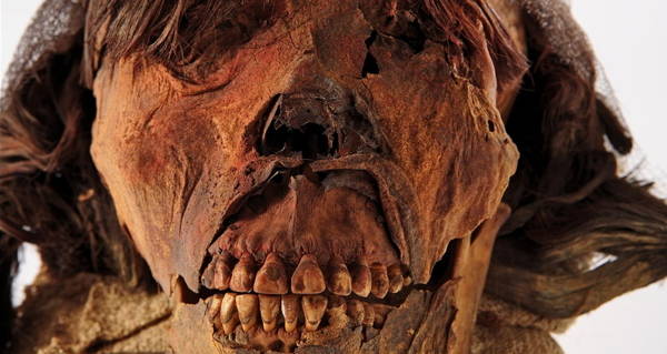Mummy Teeth