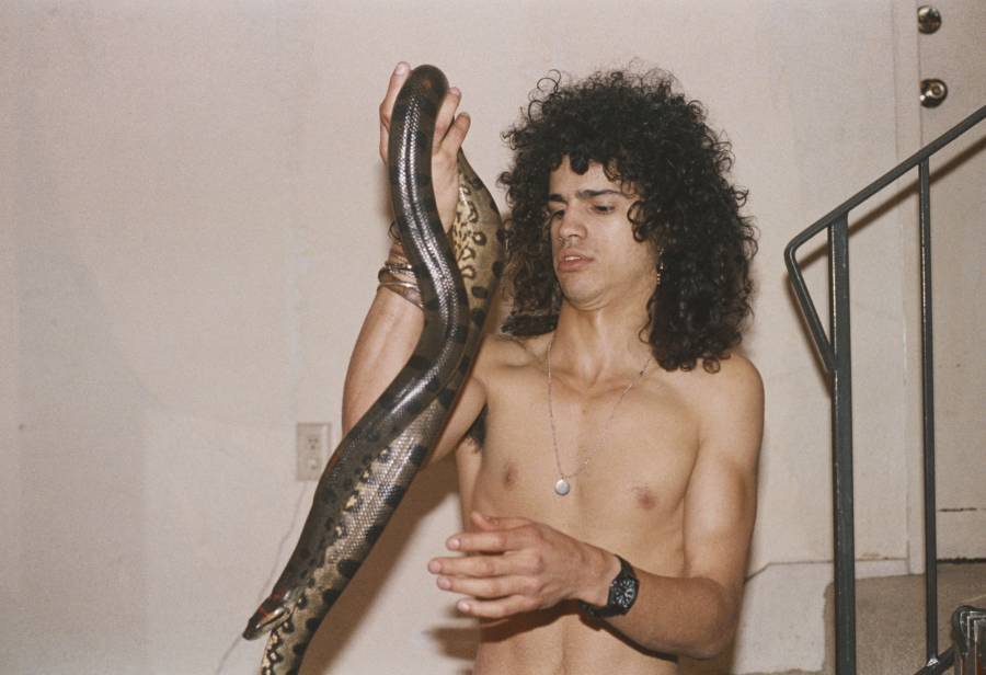 Slash Snake