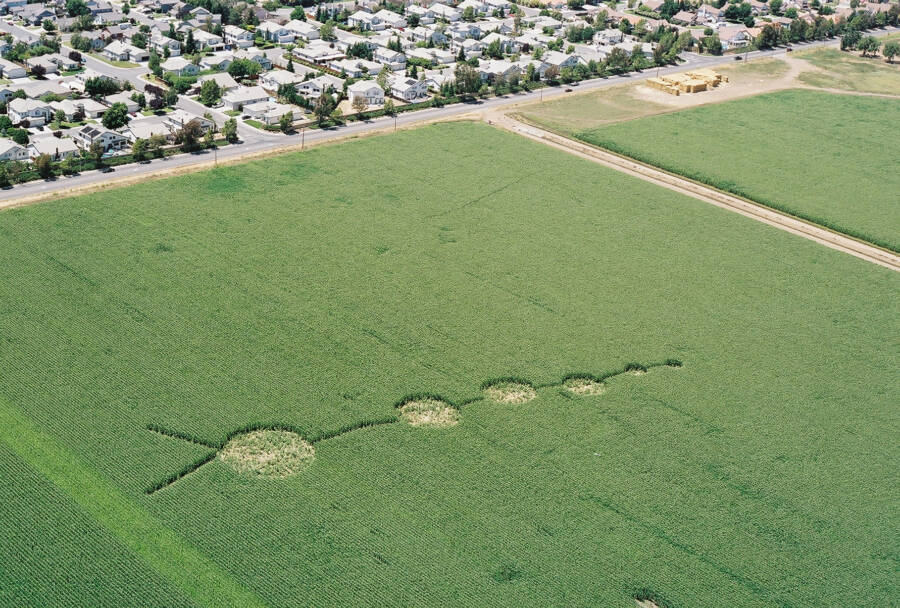 Vacaville Crop Circle
