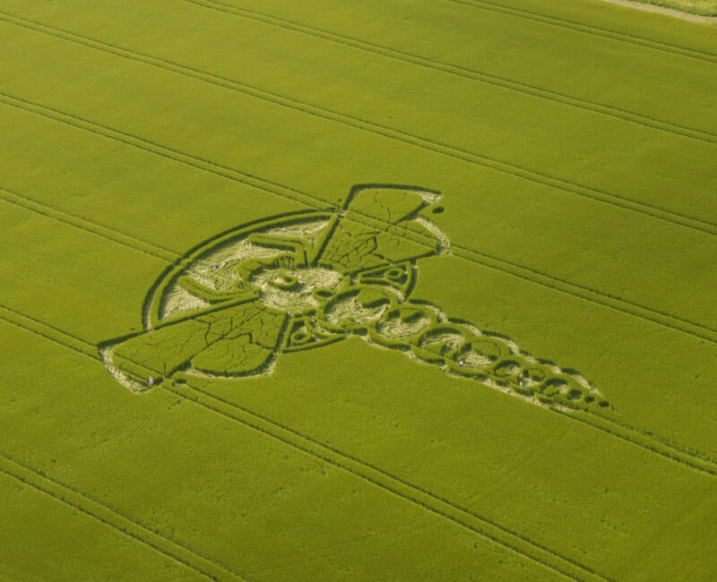 Yatesbury Dragonfly Crop Circle
