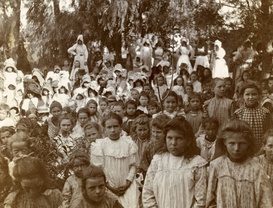 Boers At Nylstroom Camp
