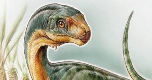 Chilesaurus Rendering