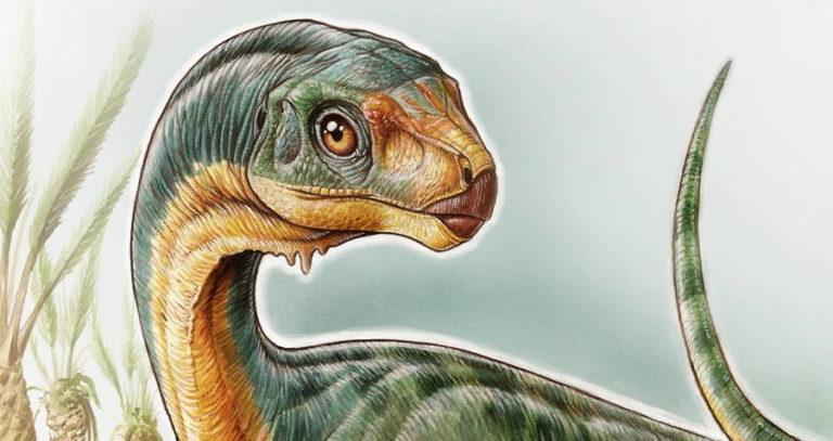 Chilesaurus Rendering