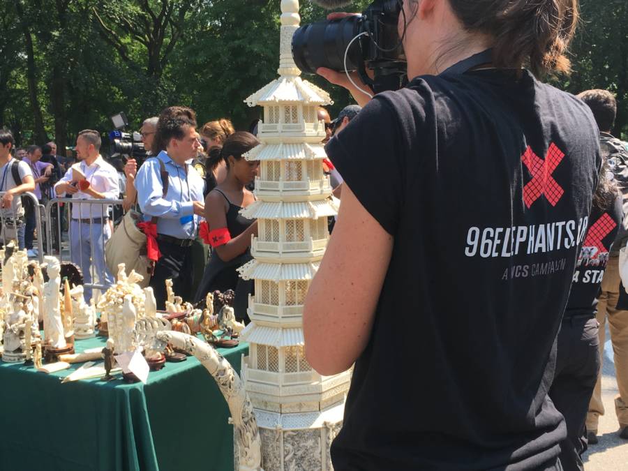 New York City Ivory Crush