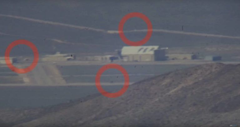 Area Fifty Three Crop