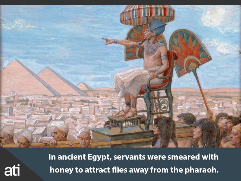 Gross History Facts