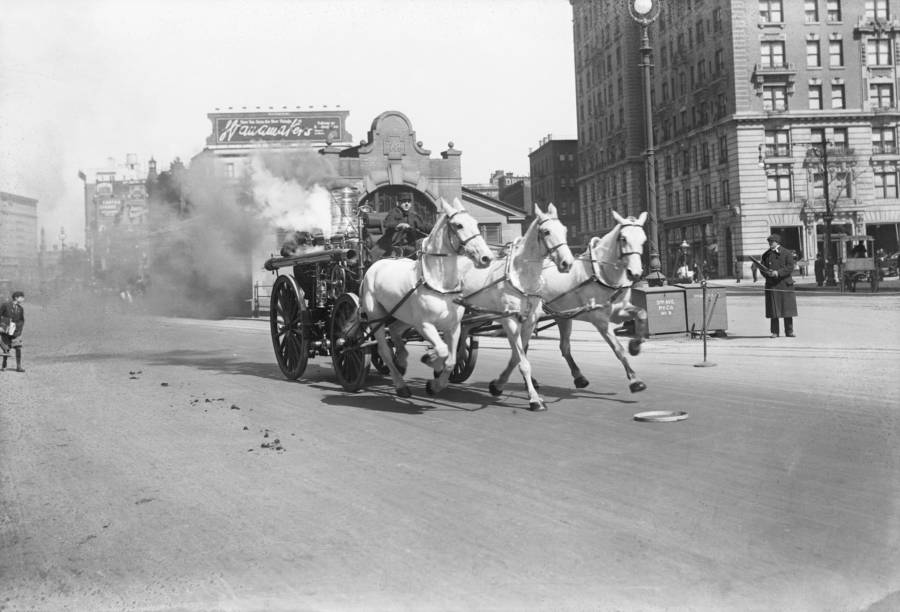 Horse Fire Engine
