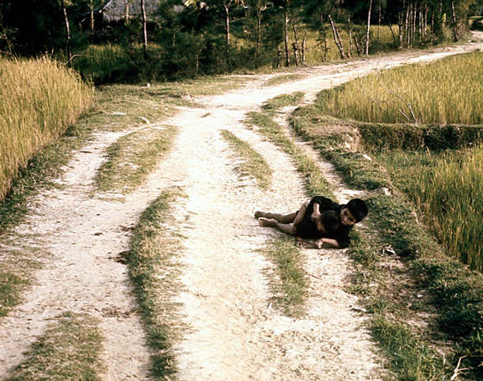 My Lai Photos Dying Boy