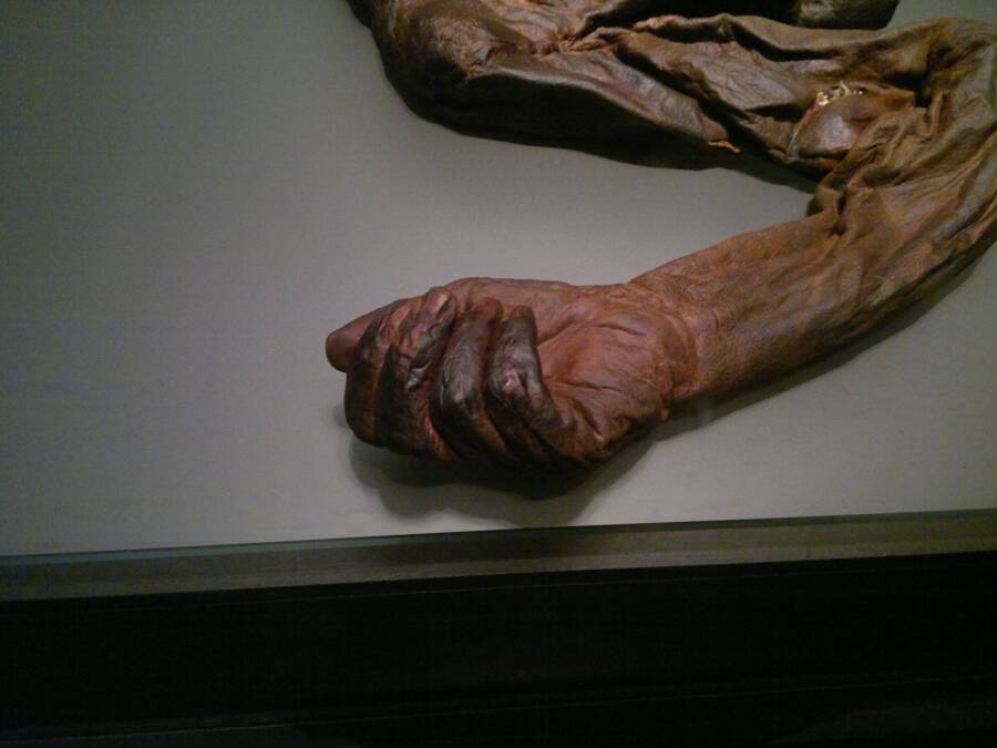 Old Croughan Man Hand