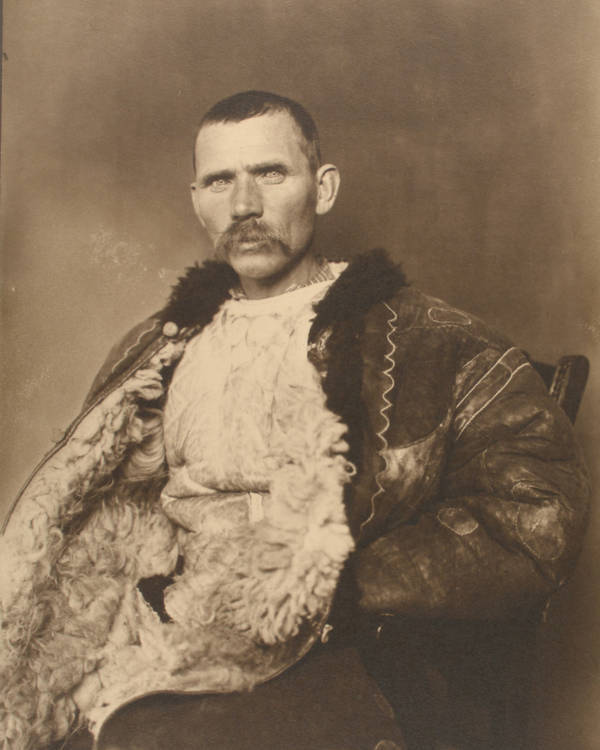 Romanian Shepherd Face