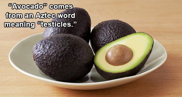 Avocado Testicles