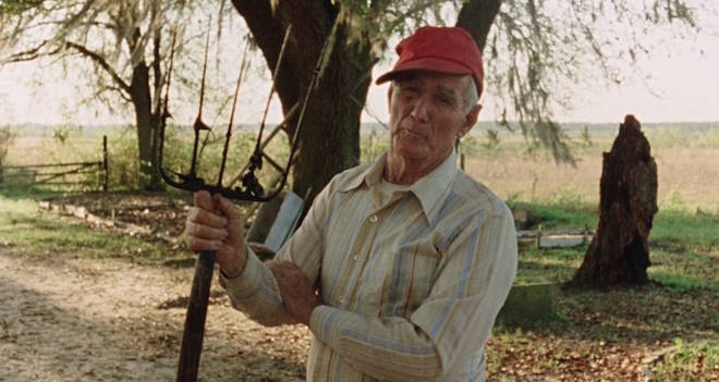 Nub City Farmer Crop