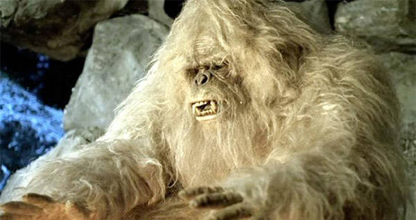 Yeti Real