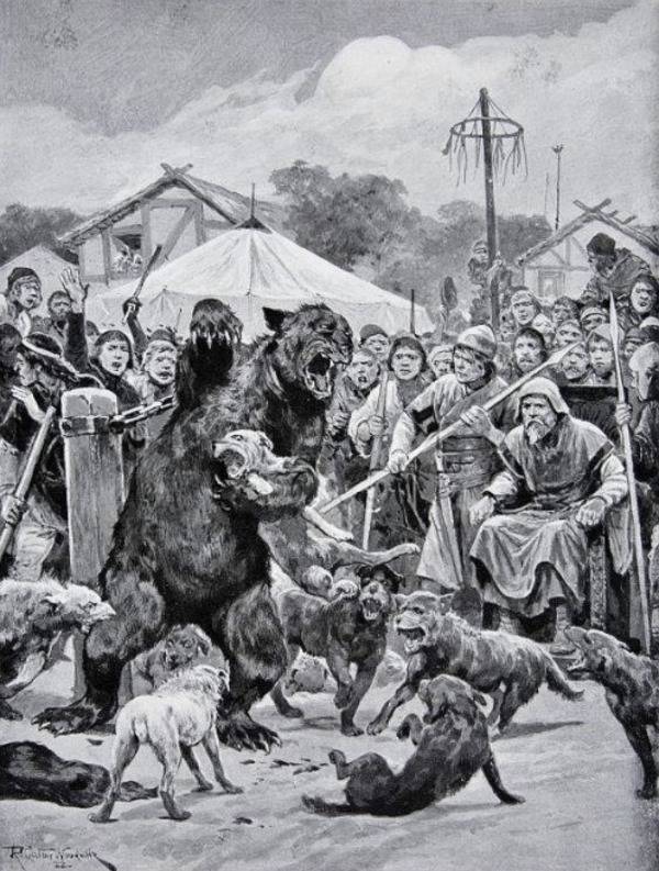 Bear Baiting