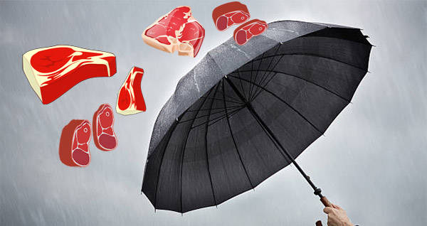 Umbrella