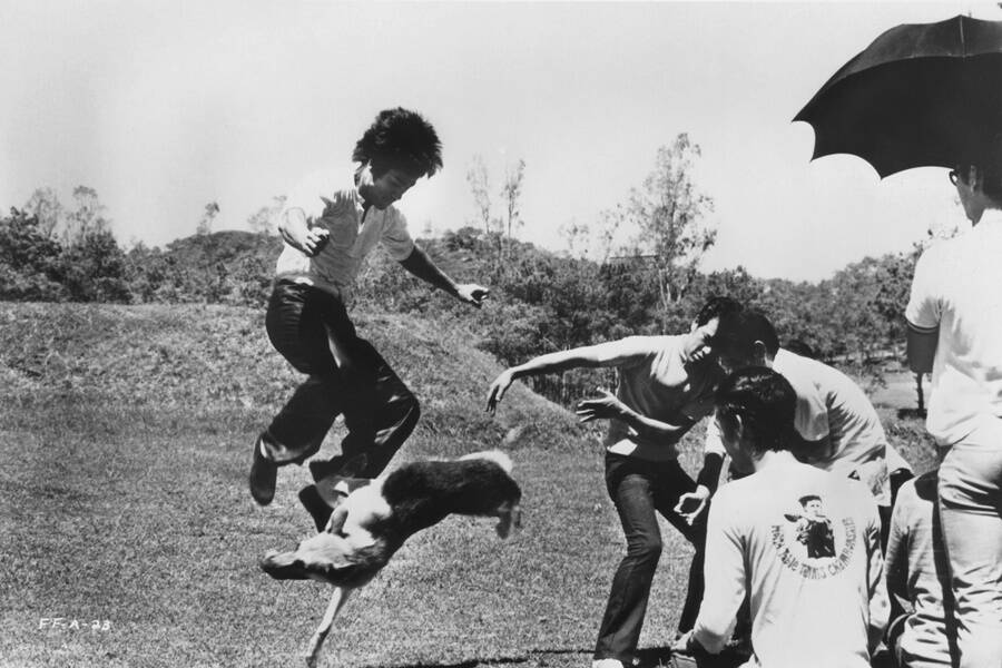 Bruce Lee Fighting A Dog
