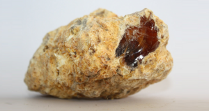Ambergris Featured