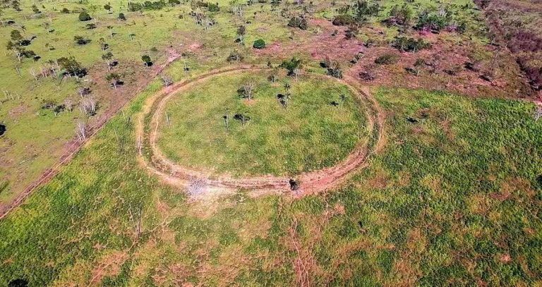 Aerial View Of Amazon Settlement