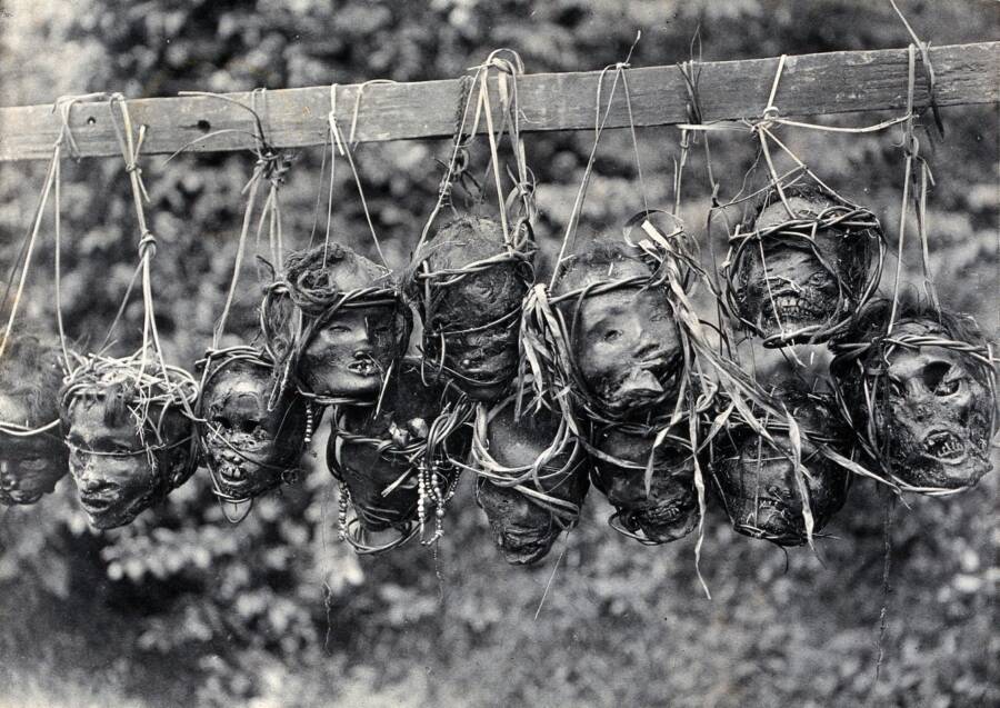Shrunken Heads On Display