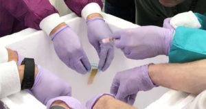 Sperm Samples Nasa