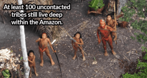Amazon Tribe