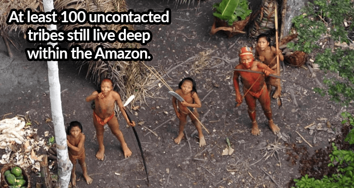 Amazon Tribe