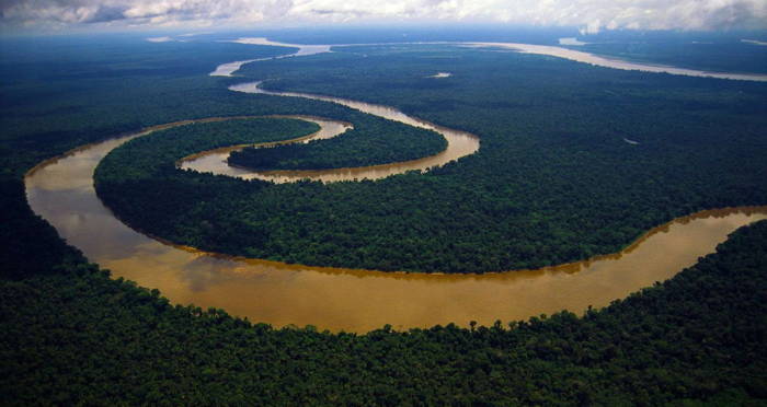 Amazon River From Above