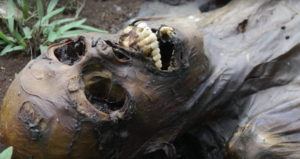 Body Farm Corpse