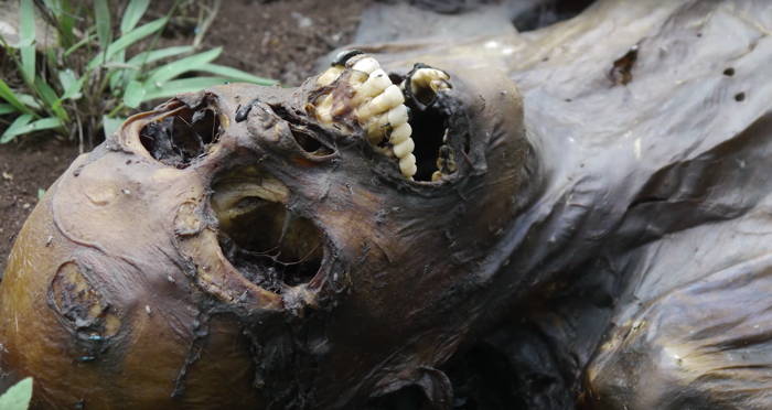 Body Farm Corpse