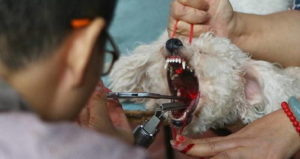 Debarking In Progress