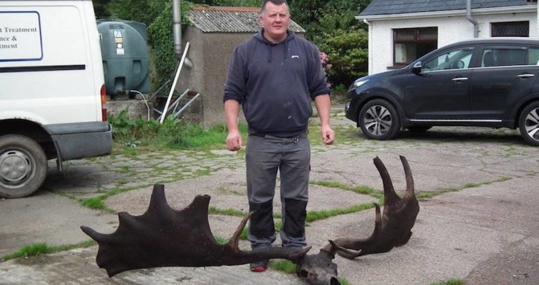 Elk Skull Man