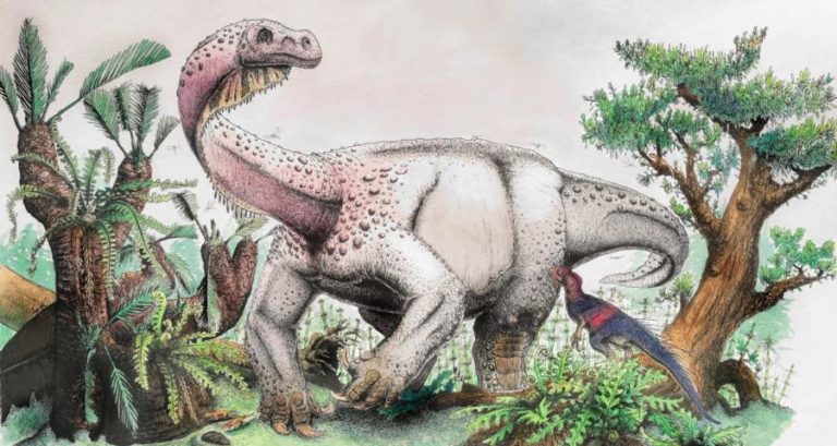 Ledumahadi Mafube Rendering