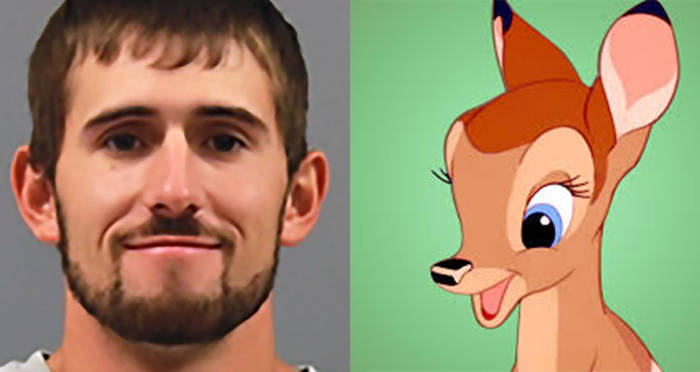 Berry V Bambi